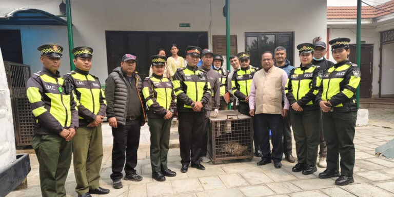 The current image has no alternative text. The file name is: cituwa.jpg