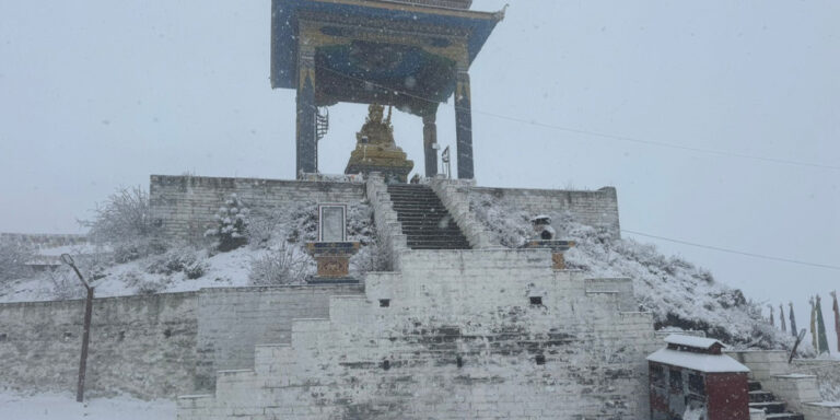 The current image has no alternative text. The file name is: humpathg.jpg