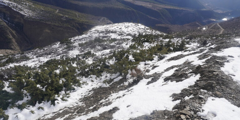 The current image has no alternative text. The file name is: mustang-gimpat-snow.jpg