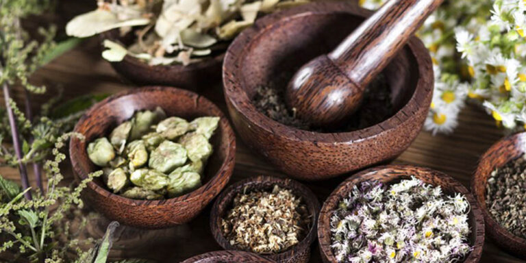 The current image has no alternative text. The file name is: jaributi.jpg