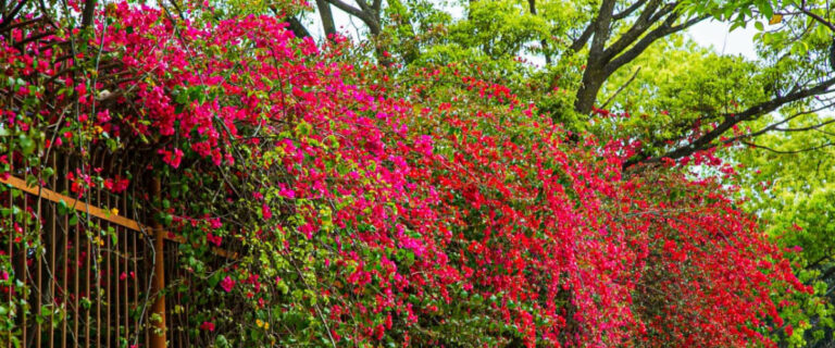 The current image has no alternative text. The file name is: katahamandu.jpg