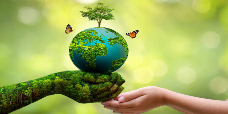 The current image has no alternative text. The file name is: inviroment.jpg