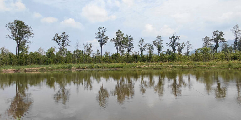 The current image has no alternative text. The file name is: pokhari.jpg