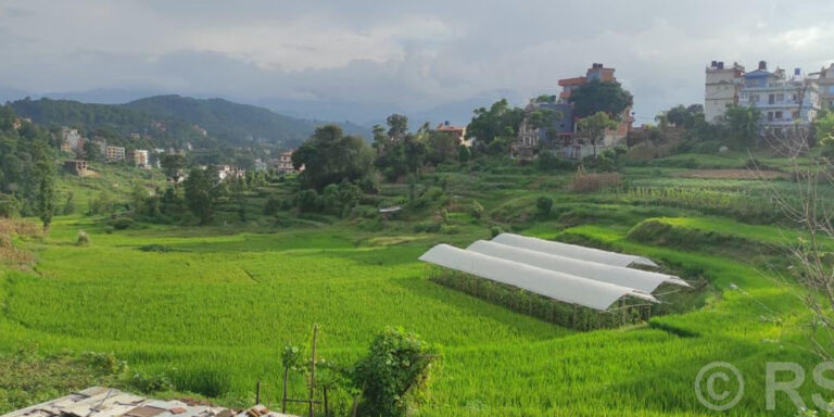 The current image has no alternative text. The file name is: kavre.jpg
