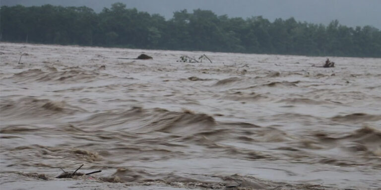 The current image has no alternative text. The file name is: narayani-1.jpg
