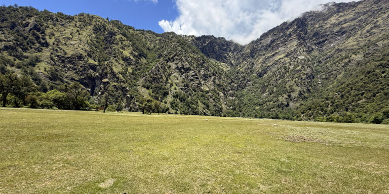 The current image has no alternative text. The file name is: acham.jpg
